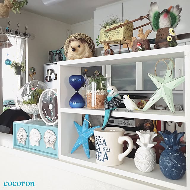 cocoronさんの実例写真