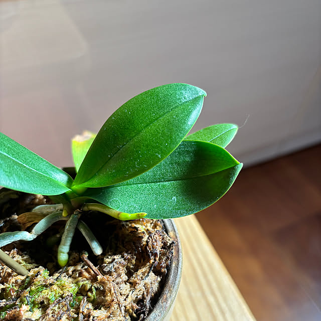 nachiさんの実例写真