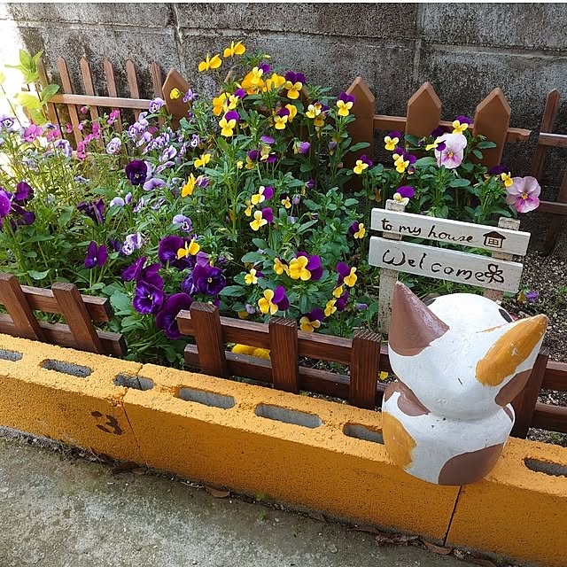 fukuさんの部屋