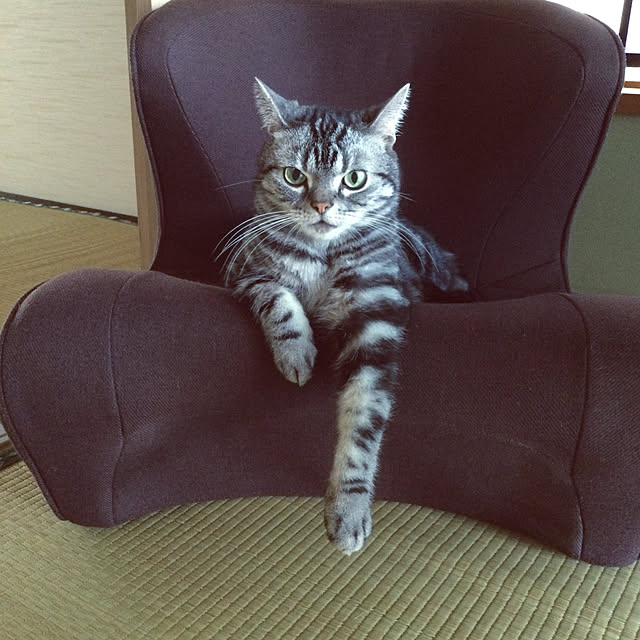 richanさんの実例写真