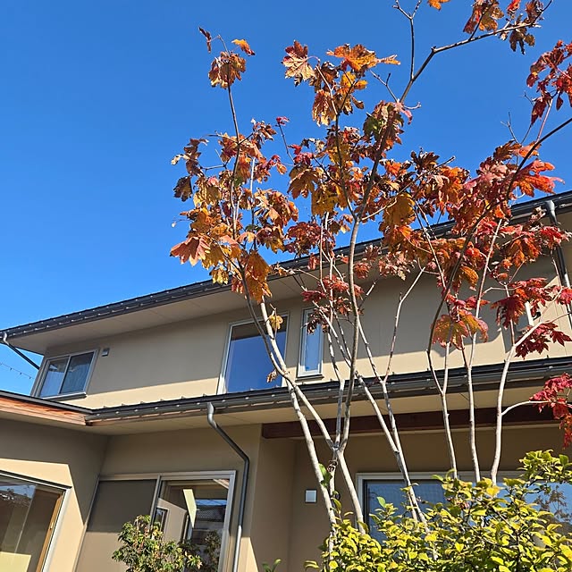 k-houseさんの実例写真