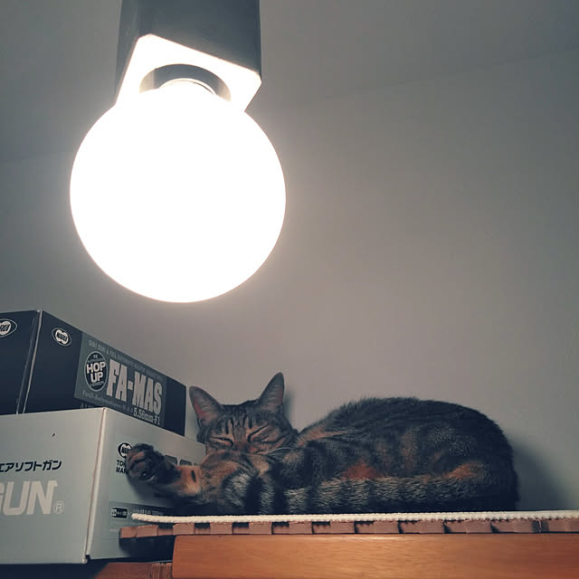 futukoさんの実例写真