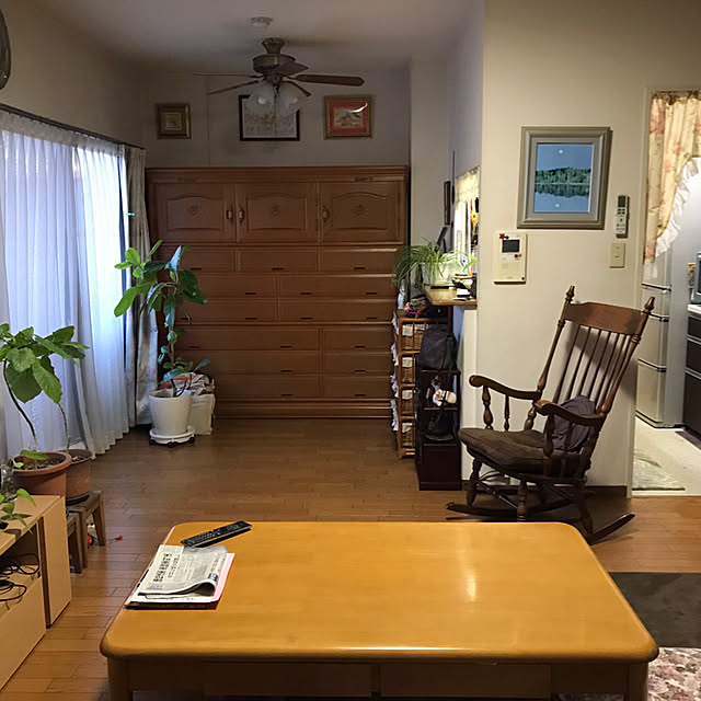 観葉植物/部屋全体のインテリア実例 - 2017-08-10 20:44:29
