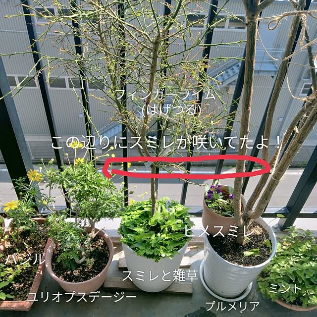 reko639さんの実例写真