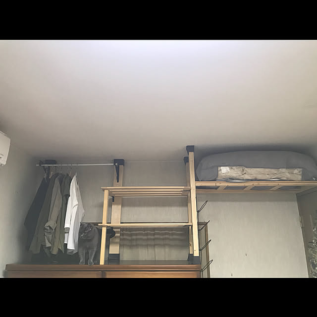 棚/コジローを探せ/ディアウォール/狭小住宅/ねこのいる日常...などのインテリア実例 - 2018-05-15 11:47:42