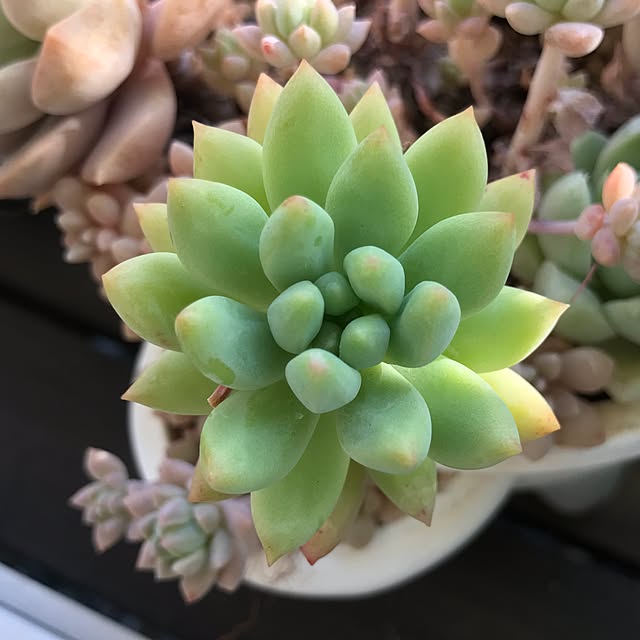 実例写真