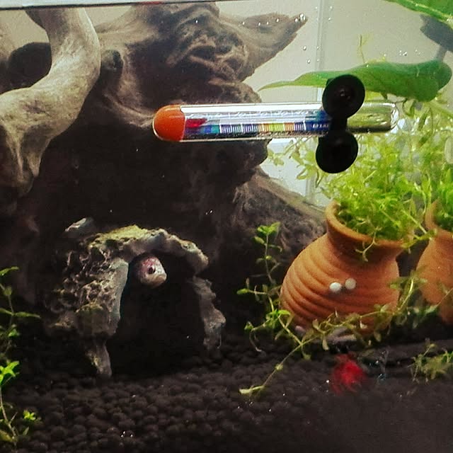 yukiさんの実例写真