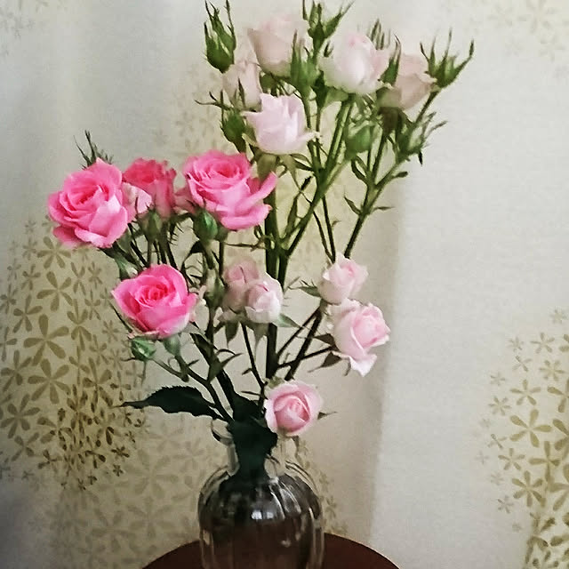 kogumaさんの実例写真