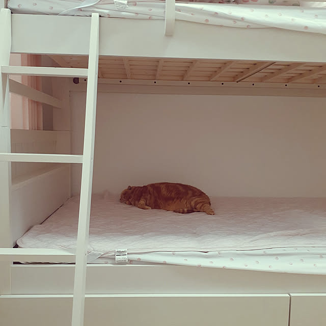 naoさんの実例写真