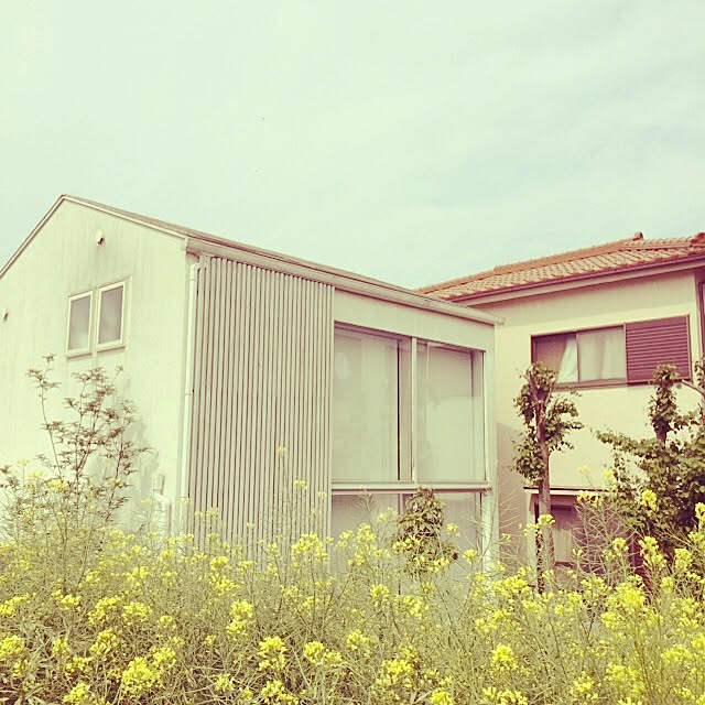 ELさんの実例写真