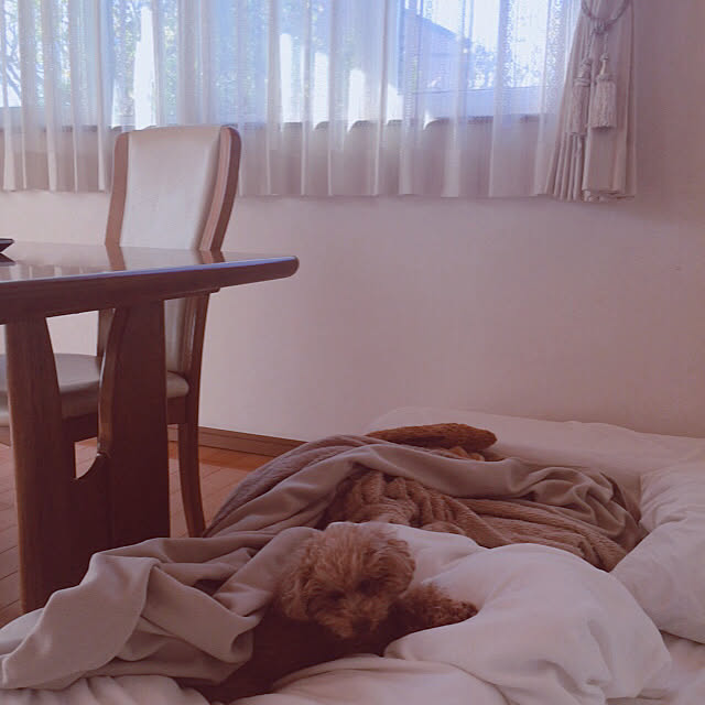 Momoさんの実例写真