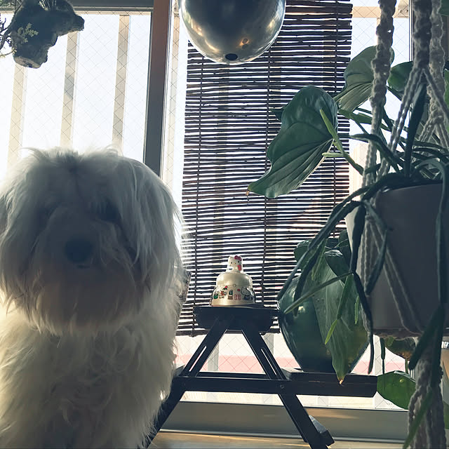 mtaさんの実例写真