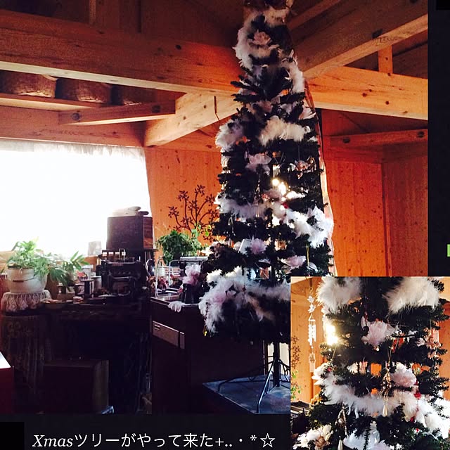 20rose_mamiさんの実例写真