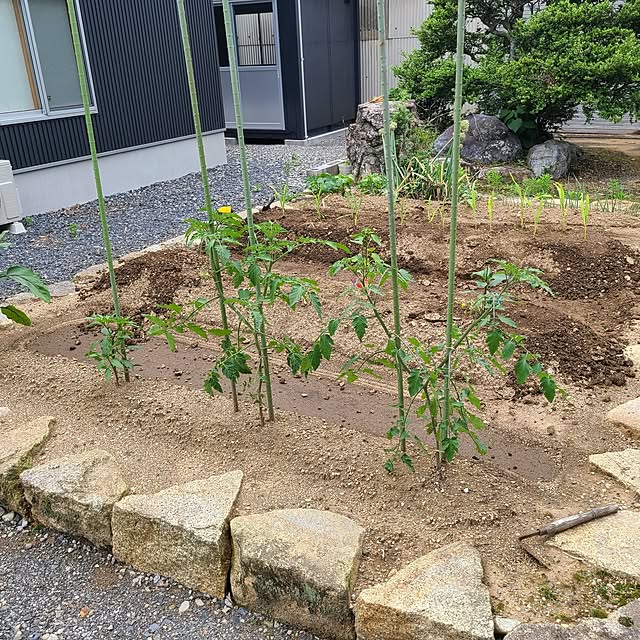 Rubiconさんの部屋