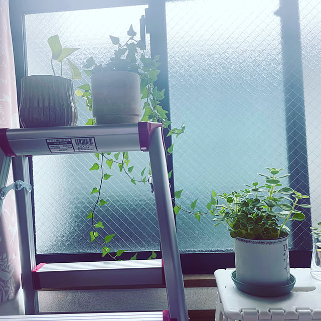 Rei018さんの実例写真
