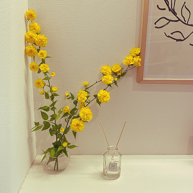 taeさんの実例写真