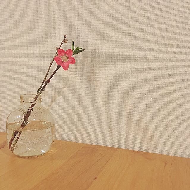 0524okamuさんの実例写真