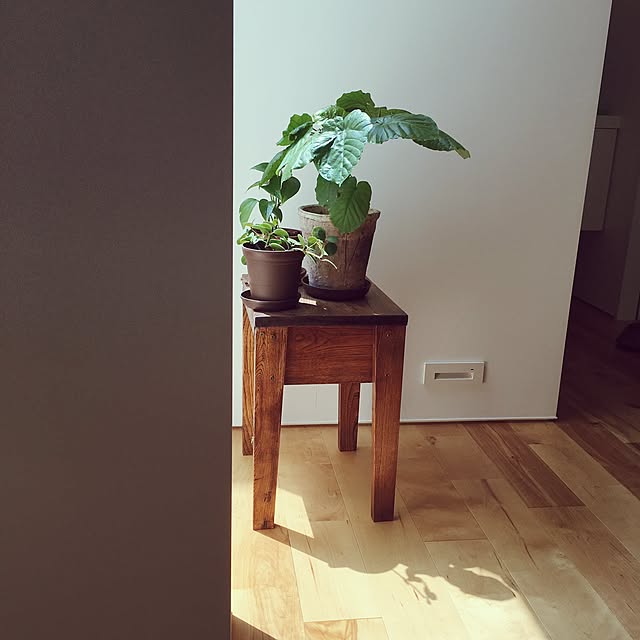 Amaniさんの実例写真