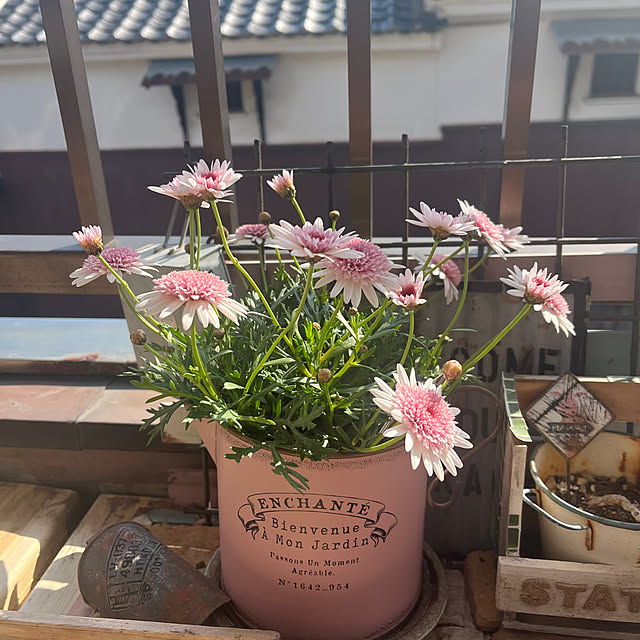 icietlaさんの部屋