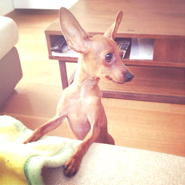 MAYAH.さんの実例写真