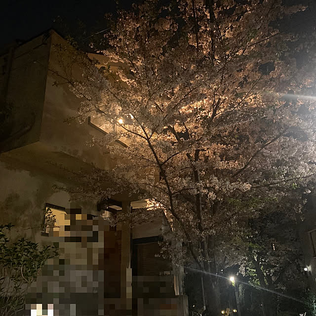 masakoさんの部屋