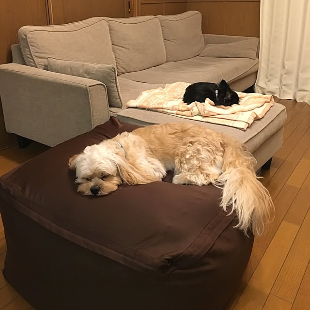 hiroroさんの実例写真