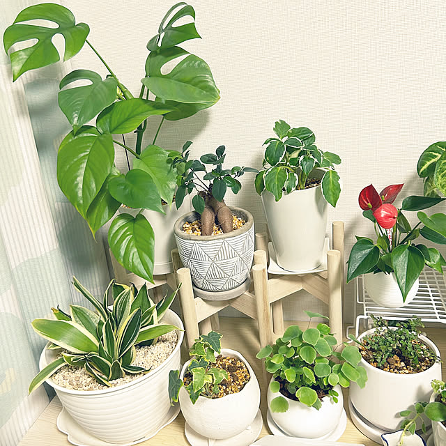 yoyoyoさんの部屋