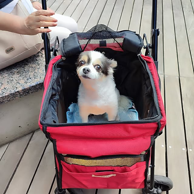 Tackunさんの実例写真