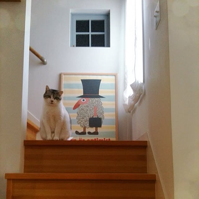 Tomo3さんの実例写真