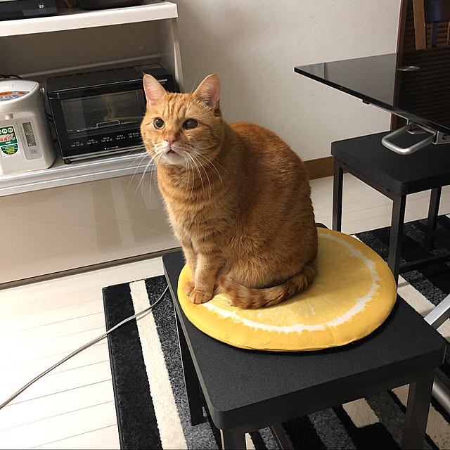 syokosanさんの実例写真
