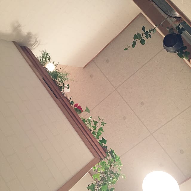 risaさんの実例写真