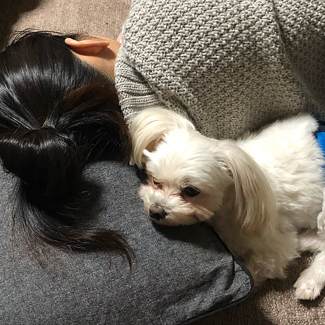 pino1227さんの実例写真
