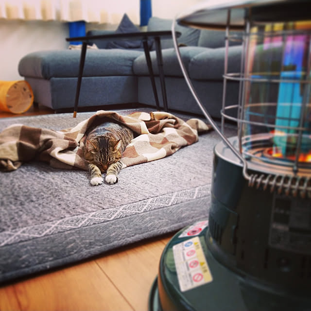 mochicoさんの実例写真