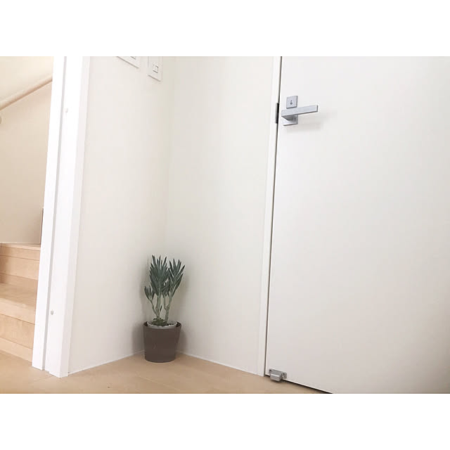 a.n.さんの実例写真