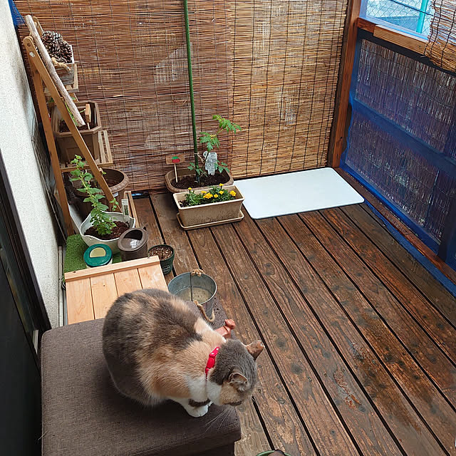 fukuさんの実例写真