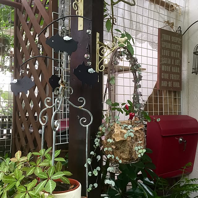 butachanさんの実例写真