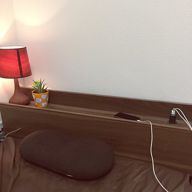 h1den0r1さんの実例写真