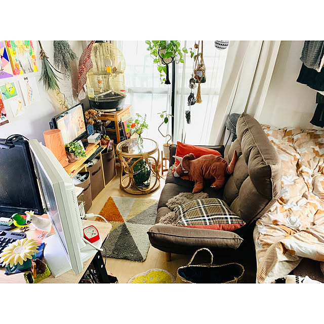 parrotさんの実例写真