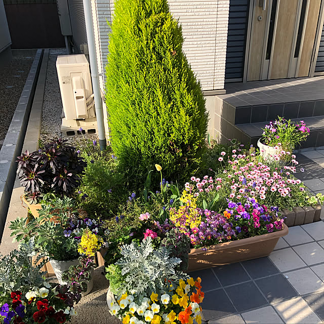 t.k.mさんの実例写真