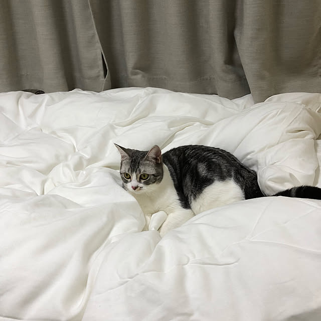 Atelier.mさんの実例写真