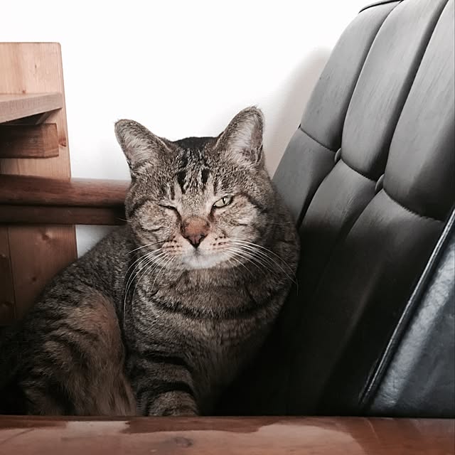 NAOMIさんの実例写真