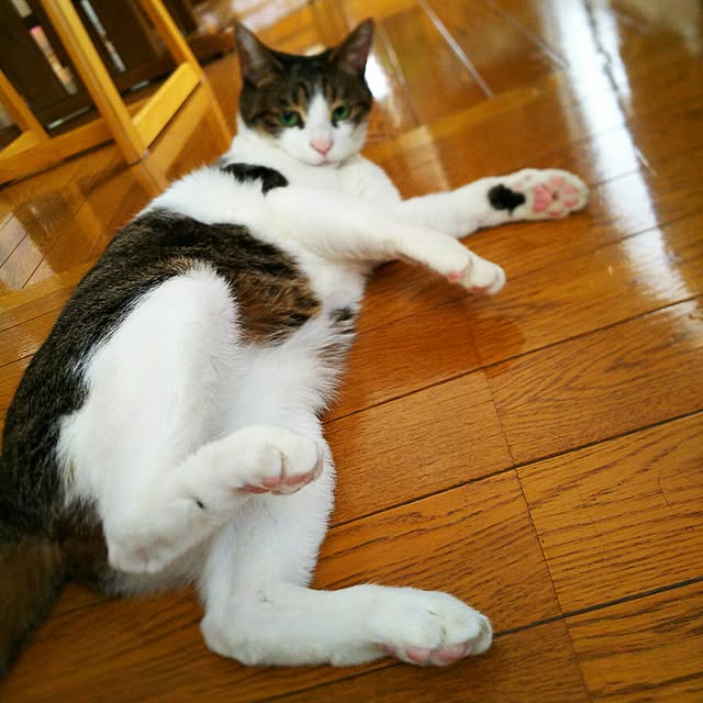 rinさんの実例写真