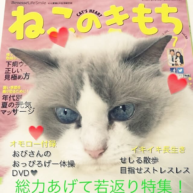 yuchiさんの実例写真