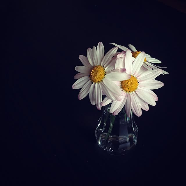jbean0701さんの実例写真