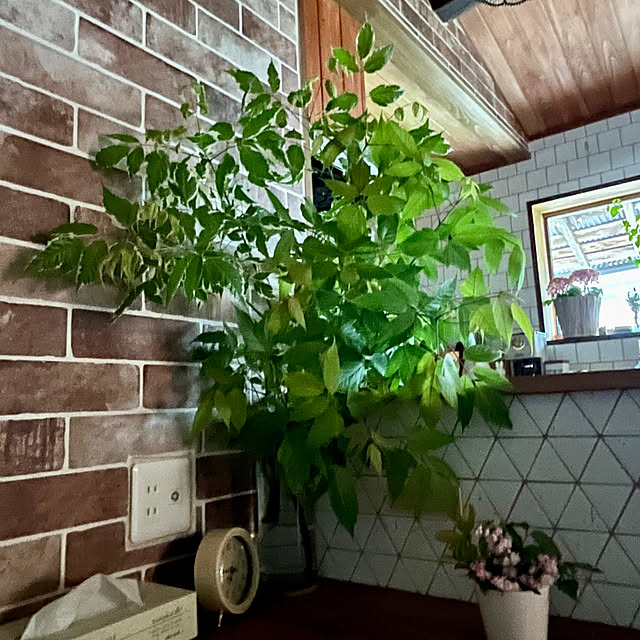 cota2さんの部屋