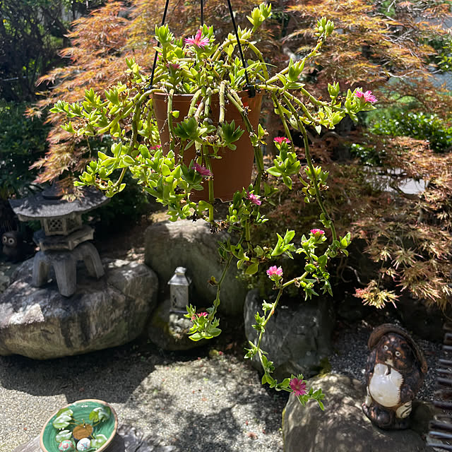 shin0719さんの実例写真
