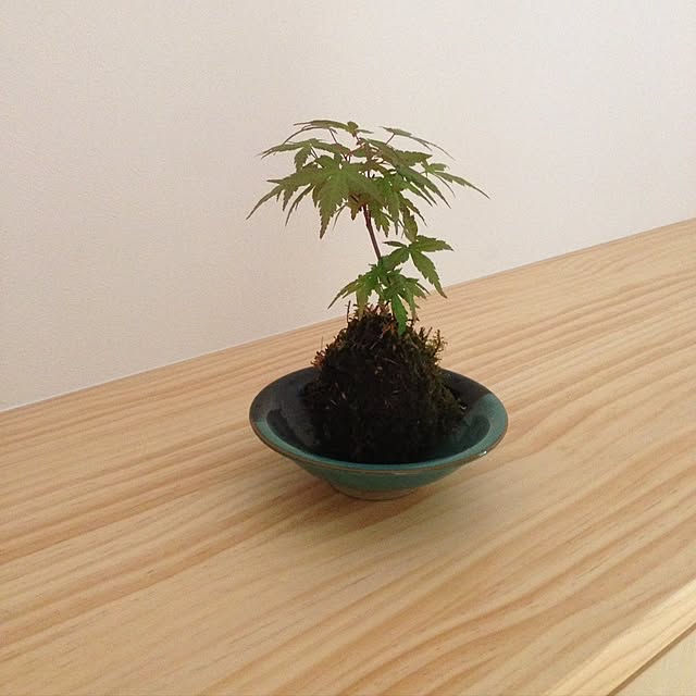 mmmさんの実例写真