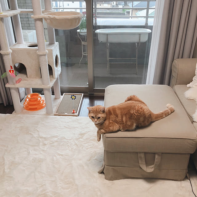 Atelier.mさんの実例写真