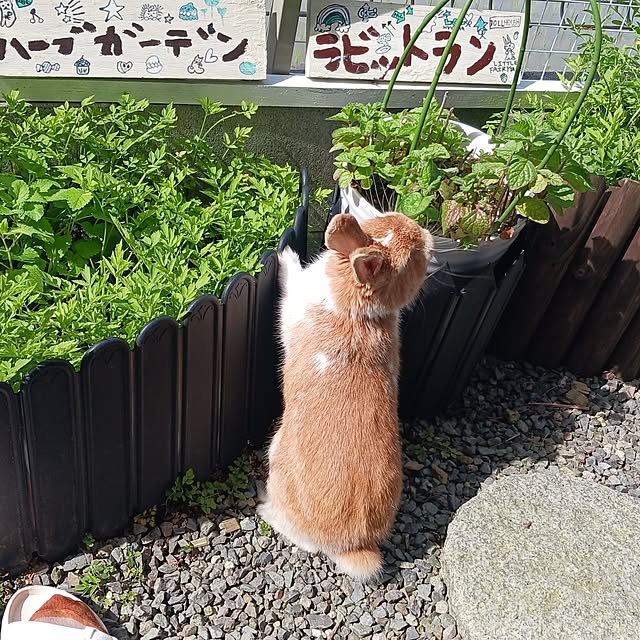 aiさんの部屋