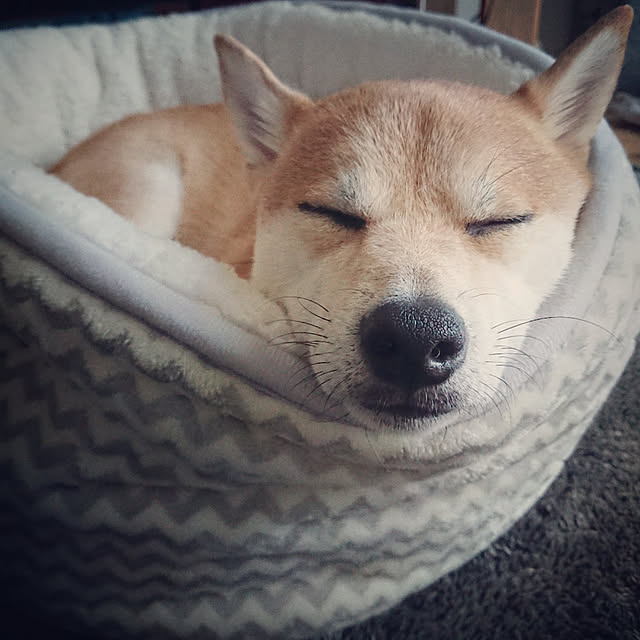 makotoさんの実例写真